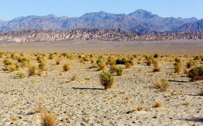WHY IT’S IMPORTANT TO REGULARLY CHANGE YOUR MOTOR OIL IN DRY CLIMATES